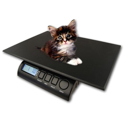 Digital Pet Weighing Scale, Non-slip Plastic Digital Pet Weight Measuring  Scale For Pet Dogs Cats, /44lbs (battery Not Included) - Temu