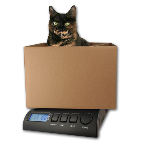 http://zieis.com/cdn/shop/products/Cat-in-box2_0b4849f0-a7e0-4572-906b-e151ca190105_600x.png?v=1619633709