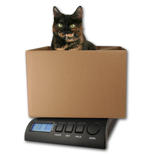 http://zieis.com/cdn/shop/products/Cat-in-box2_600x.png?v=1619631692
