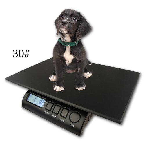 Puppy Scale