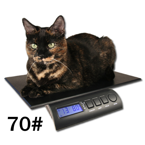 Digital Pet Scale (up to 55 lb) - Jeffers