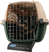 ZIEIS Digital Pet and Animal Scale - Z30P-DURA1212 (30# x 0.1oz / 14000g x 2g)