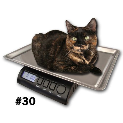 Pet Cat Dog Weighing Scale Digital Electronic Scale Veterinary Animal  Weight NEW