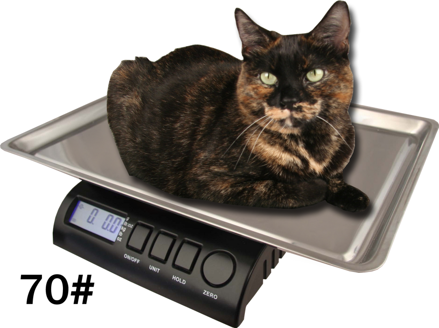 Digital Pet Scale (up to 55 lb) - Jeffers